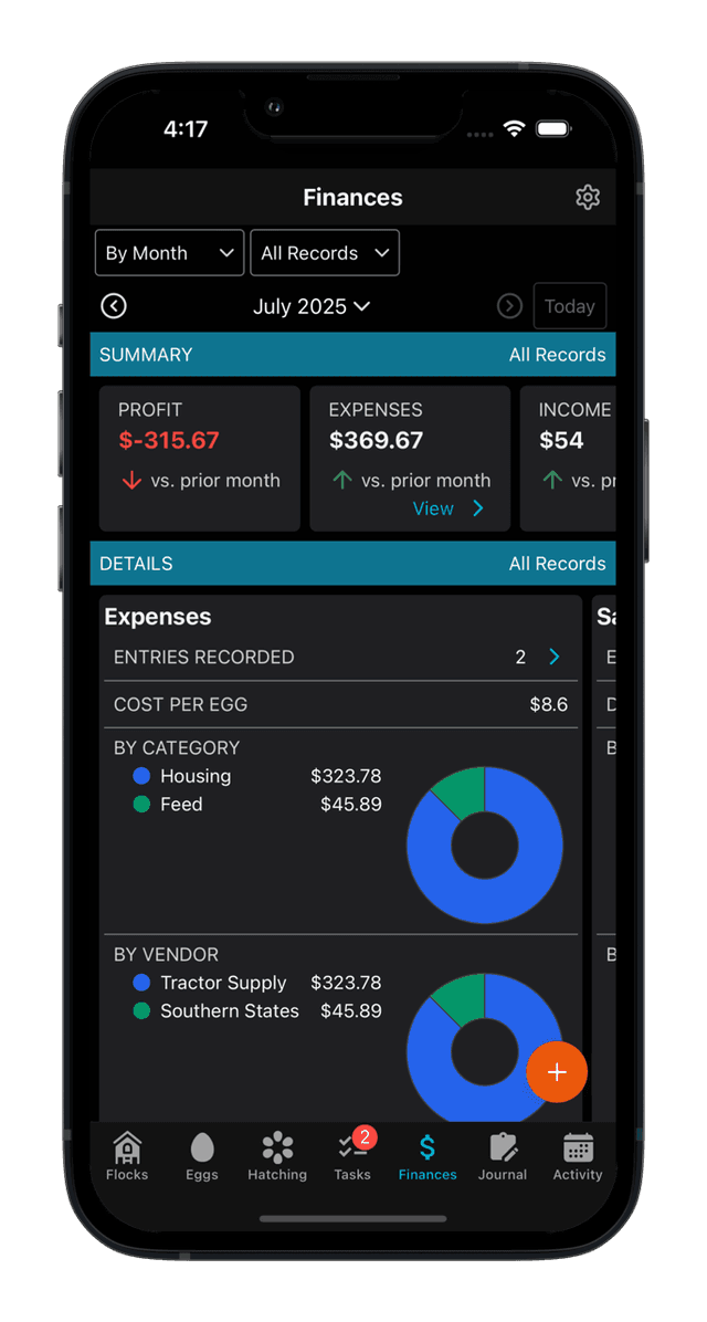 Financial tracking showing detailed expenses and revenue