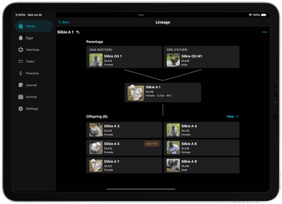 Breeding lineage interface showing family trees