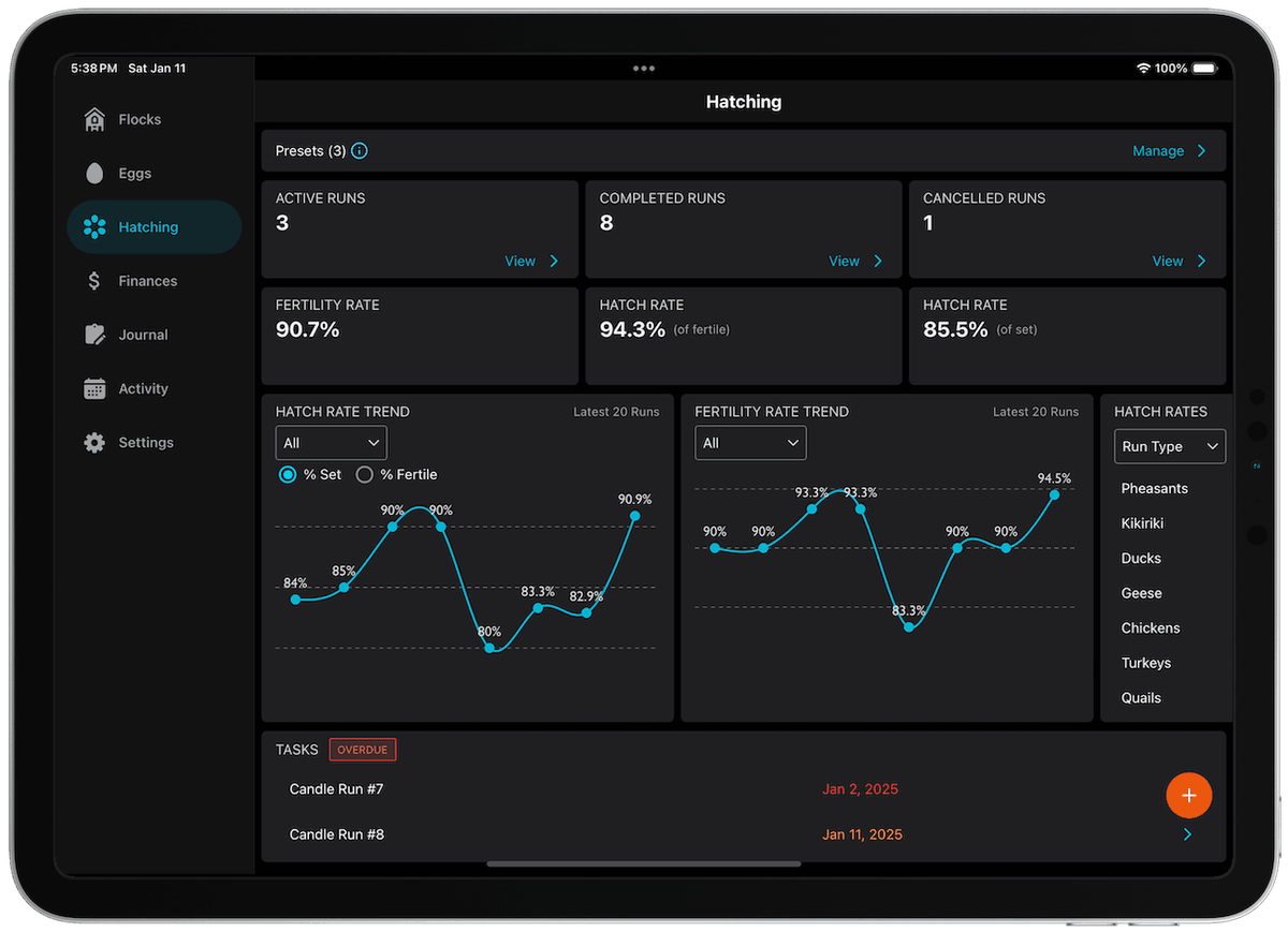 Flockstar iPad App