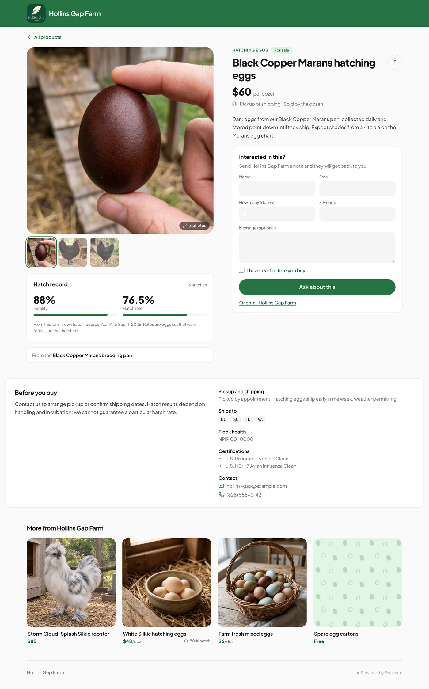 Hollins Gap Black Copper Marans hatching egg listing with hatch statistics drawn from linked flock records