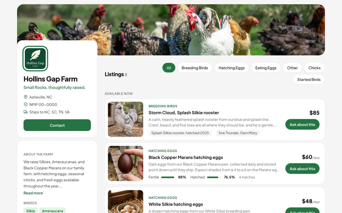 Breeder layout home page for a demo farm